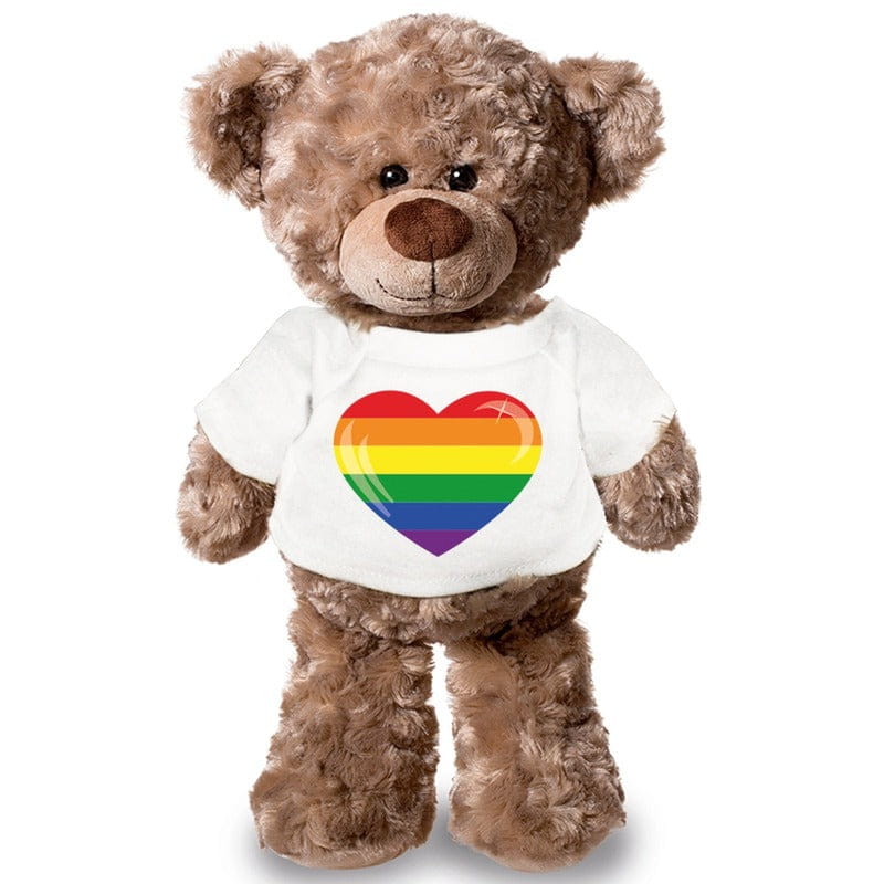 Knuffel teddybeer gaypride - pluche - 24 cm - met shirt
