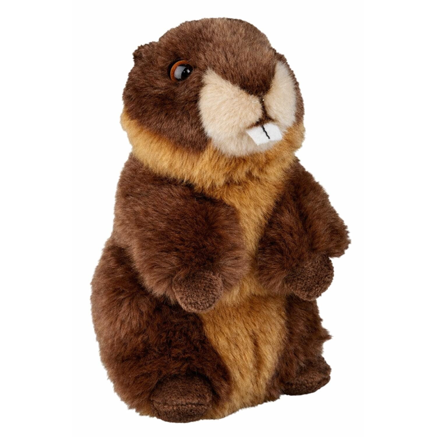 Ravensden bever knuffel - pluche - bruin - 18 cm - dierenknuffel