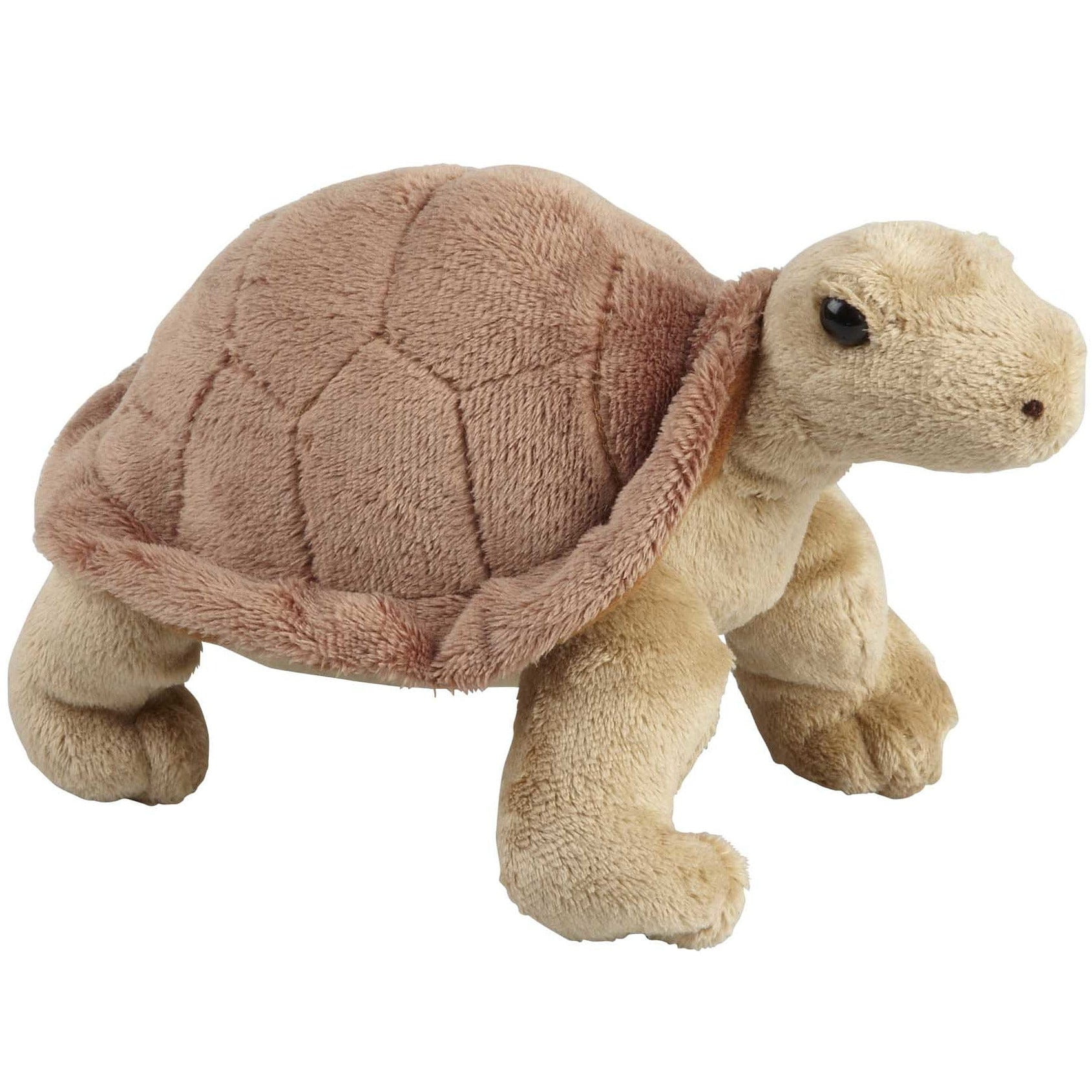 Ravensden landschildpad knuffel - pluche - 18 cm - schildpad