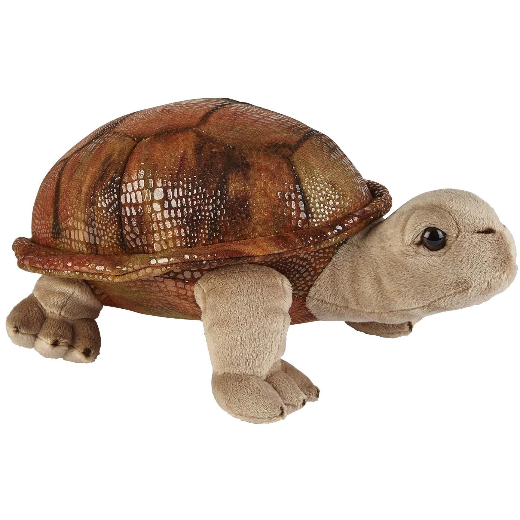 Land schildpad knuffel - pluche - 32 cm - dierencadeau