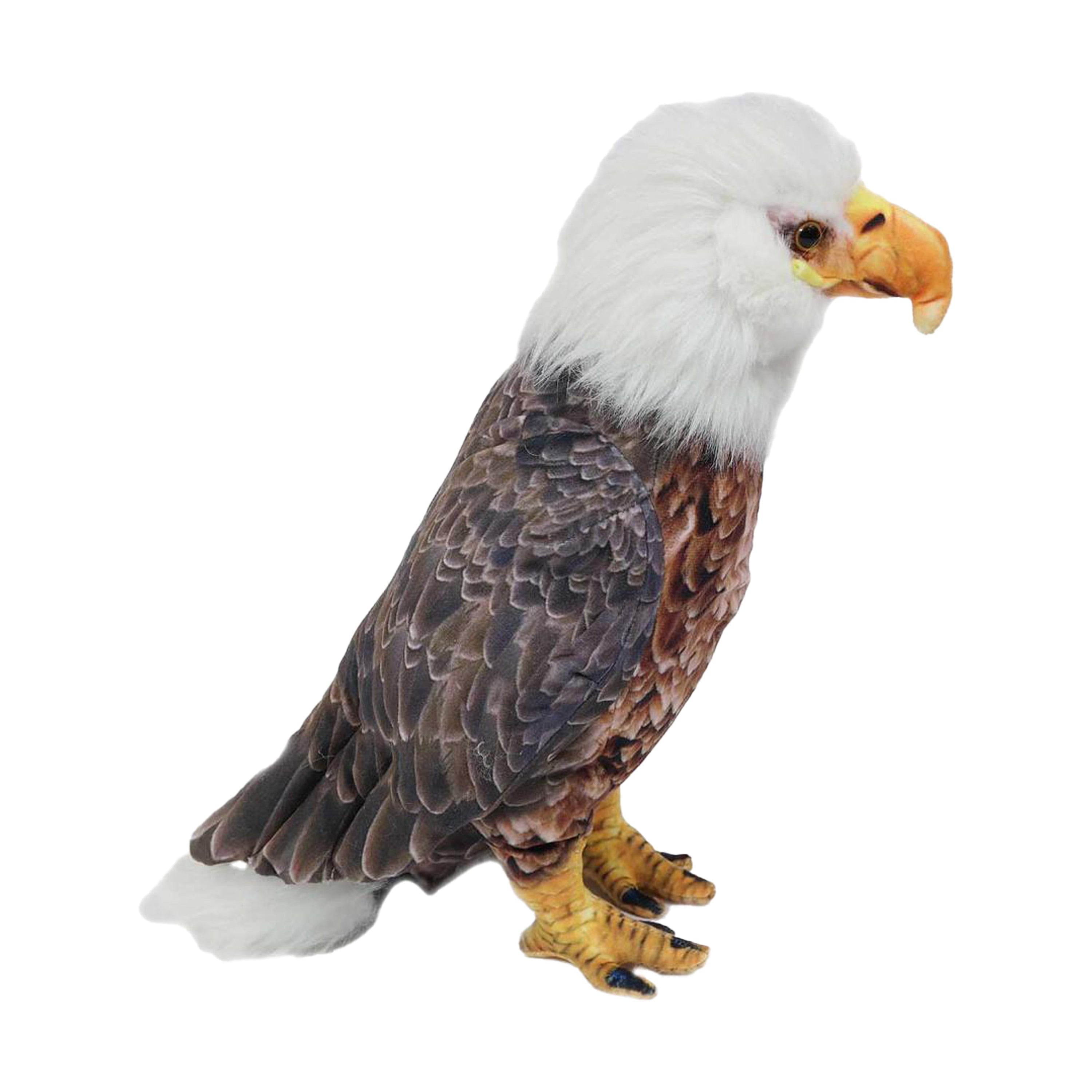 Arend knuffel - pluche - bruin/wit - 28 cm - roofvogel