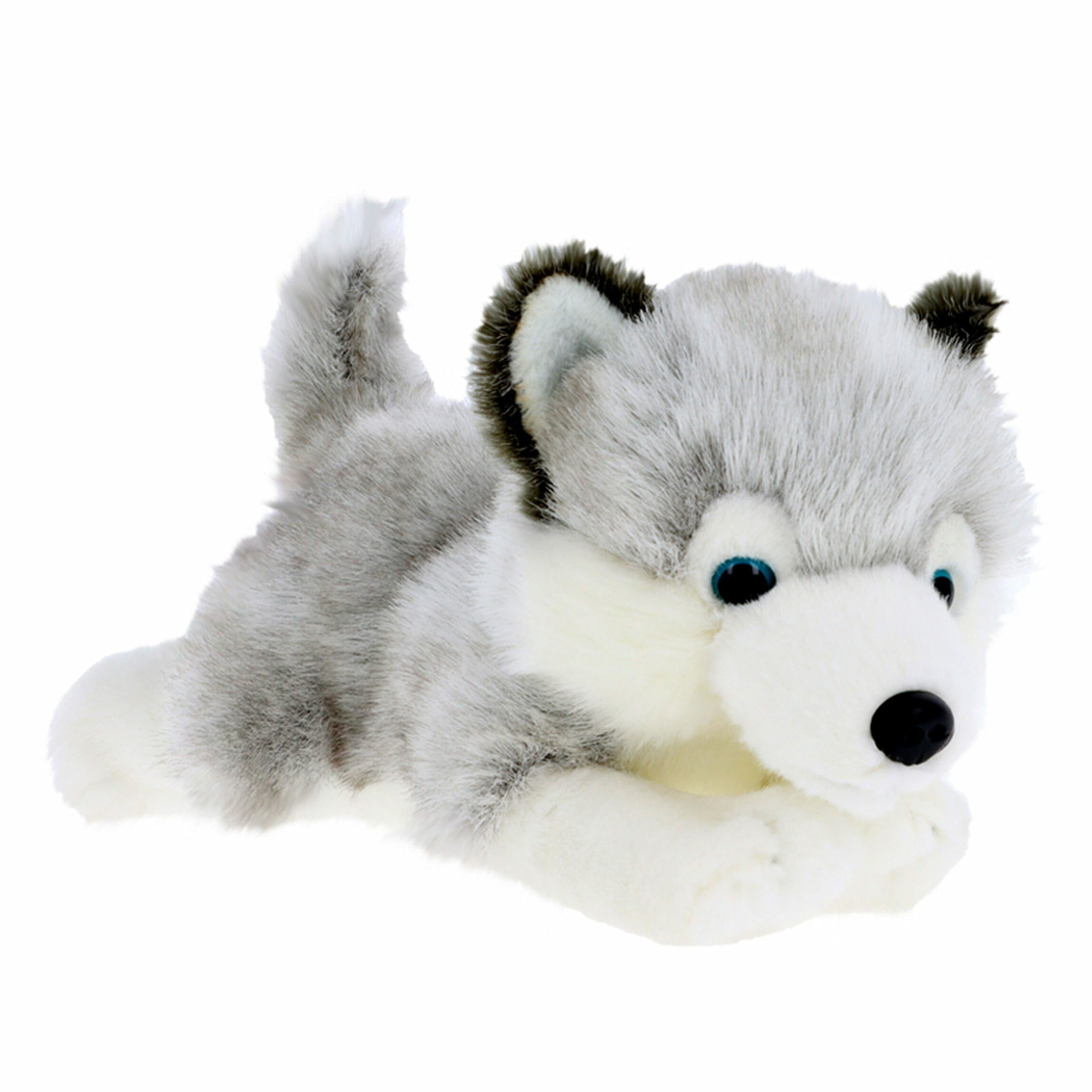 Husky puppy knuffel - pluche - grijs - 30 cm