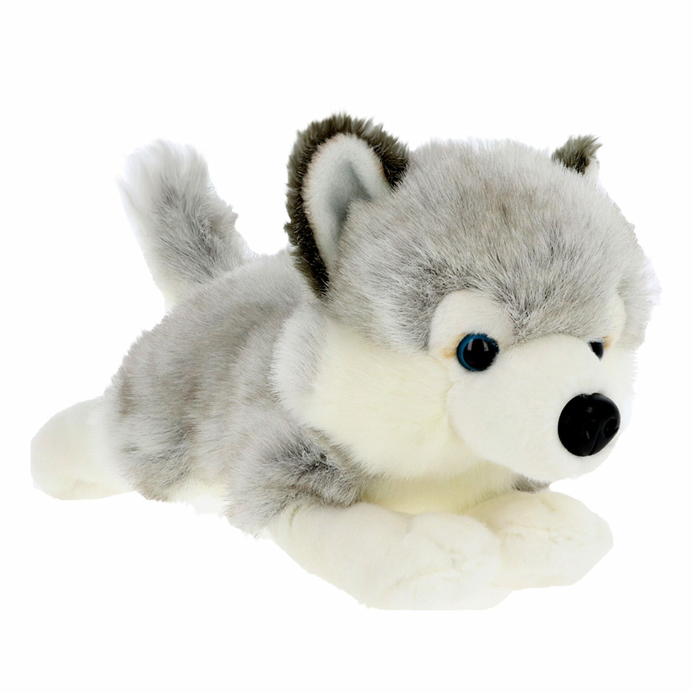 Husky puppy knuffel - pluche - grijs - 35 cm