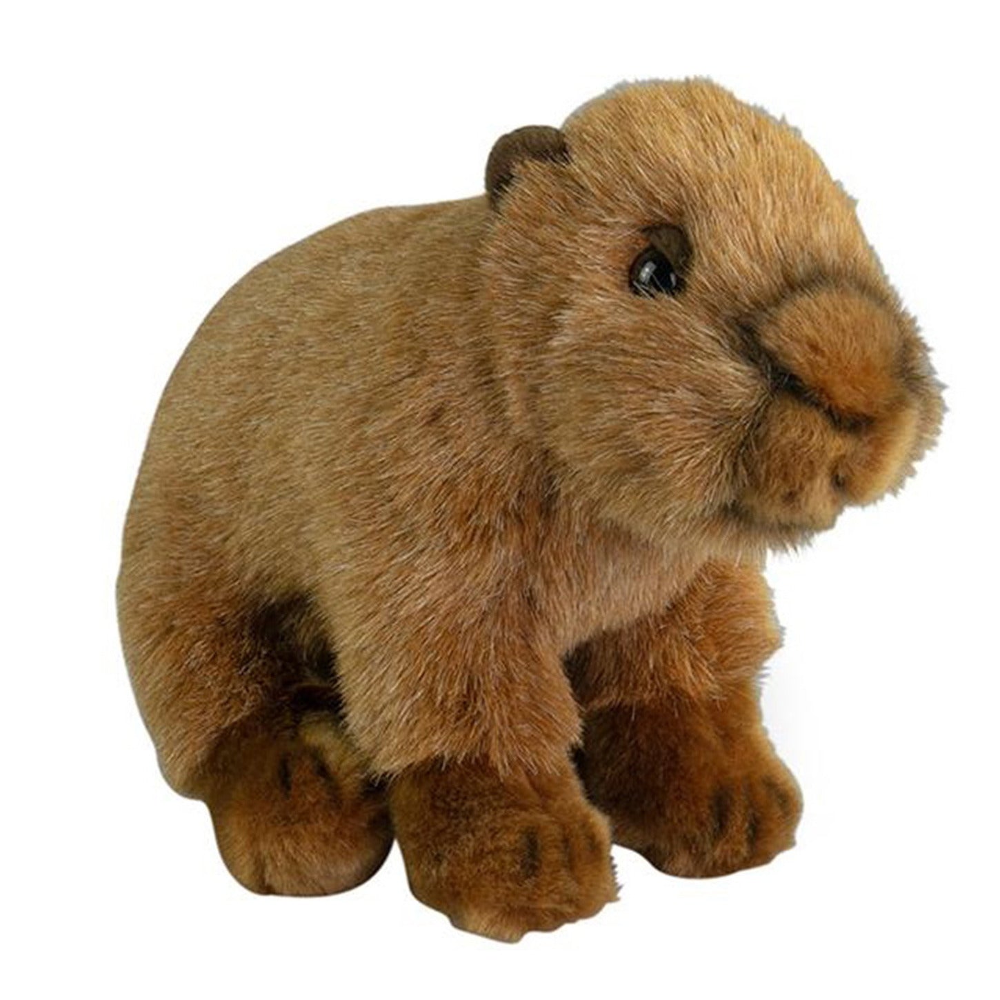 Nature Planet capybara knuffel - pluche - bruin - 20 cm
