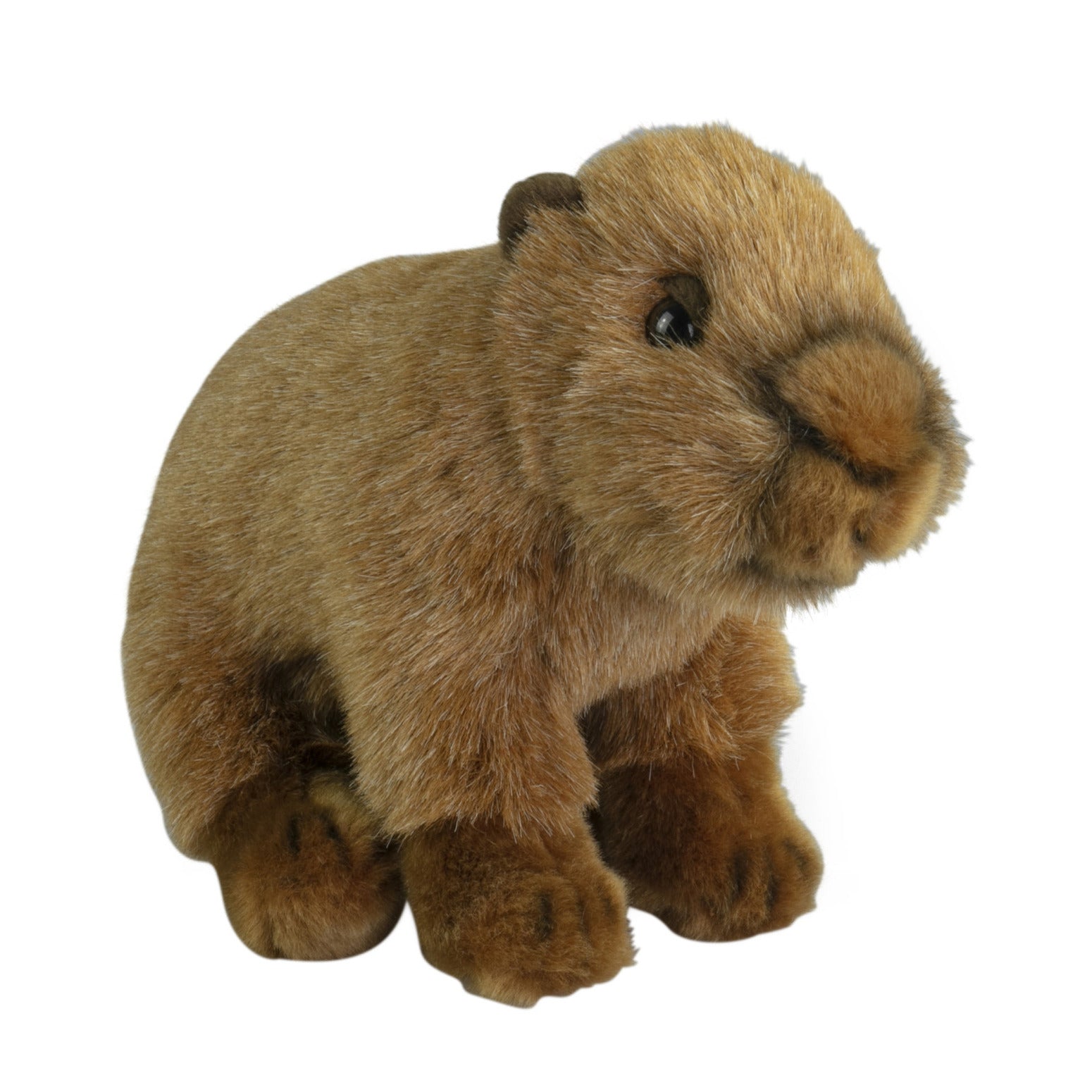 Nature Planet capybara knuffel - pluche - bruin - 18 cm