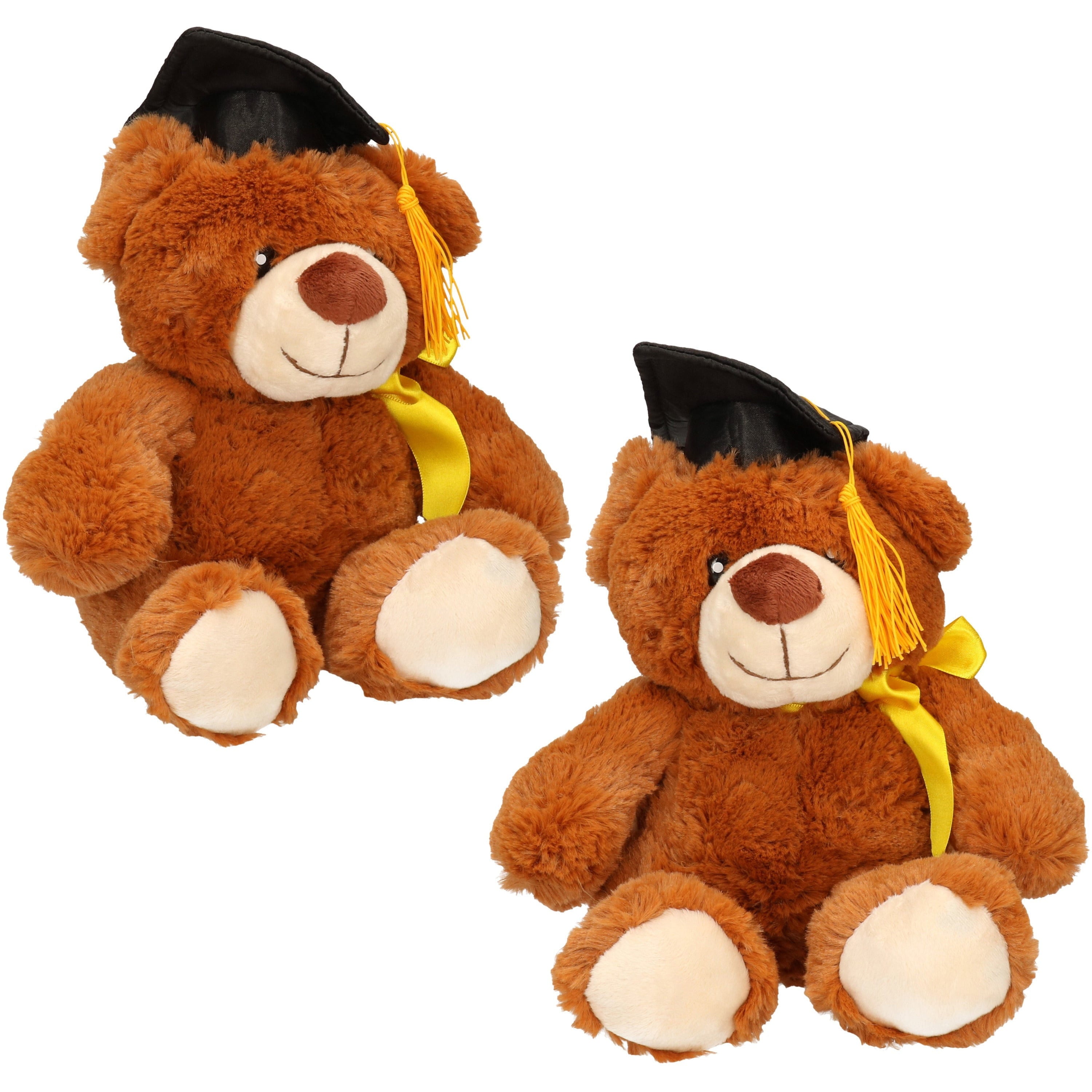 Geslaagd knuffelbeer cadeau - pluche - bruin - 20 cm
