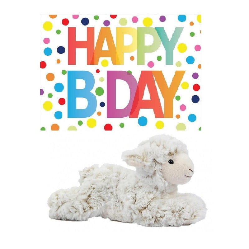 Zwarte kat knuffel - pluche - 20 cm - Happy Birthday kaart - cadeau