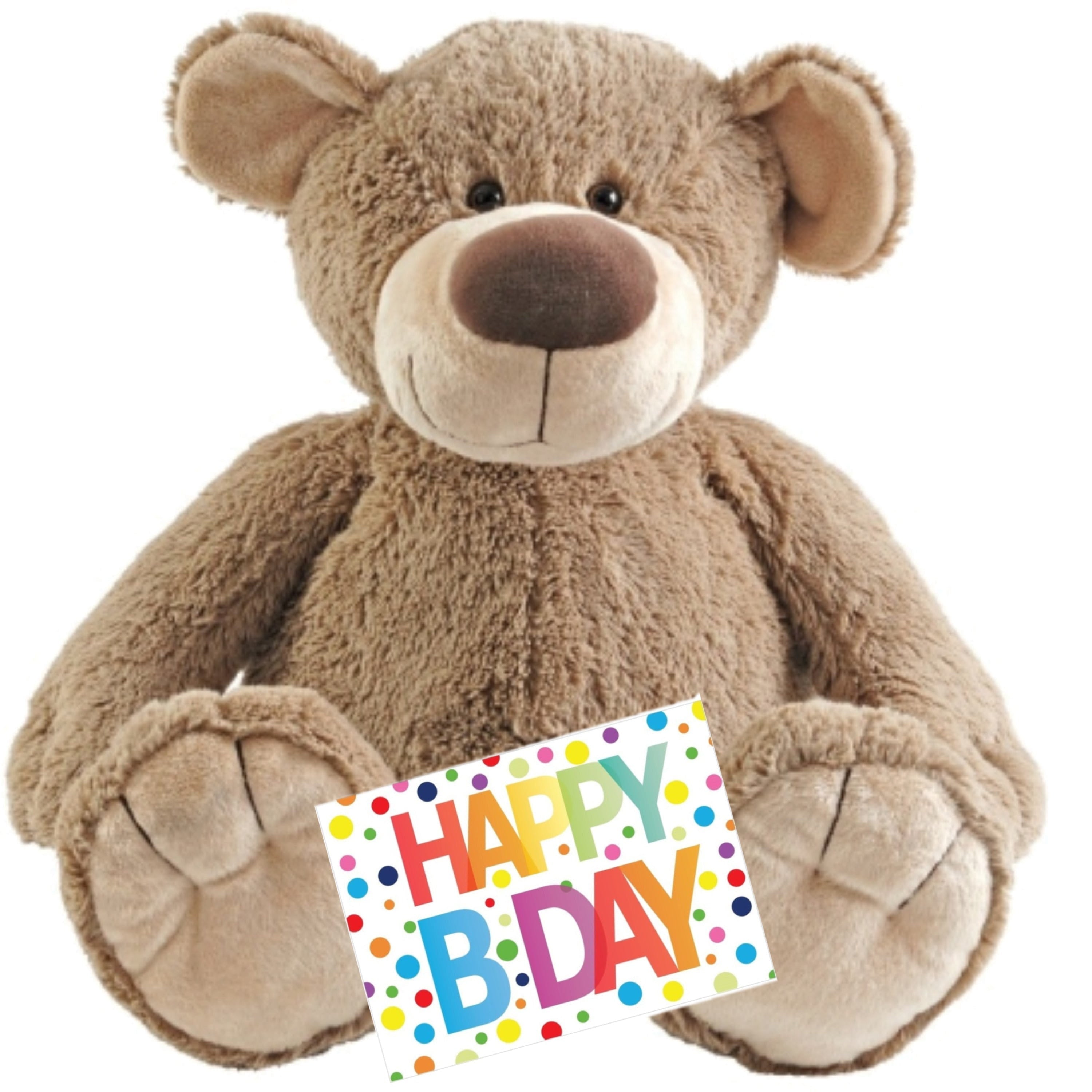 Happy Horse knuffelbeer - pluche - 70 cm - met kaart