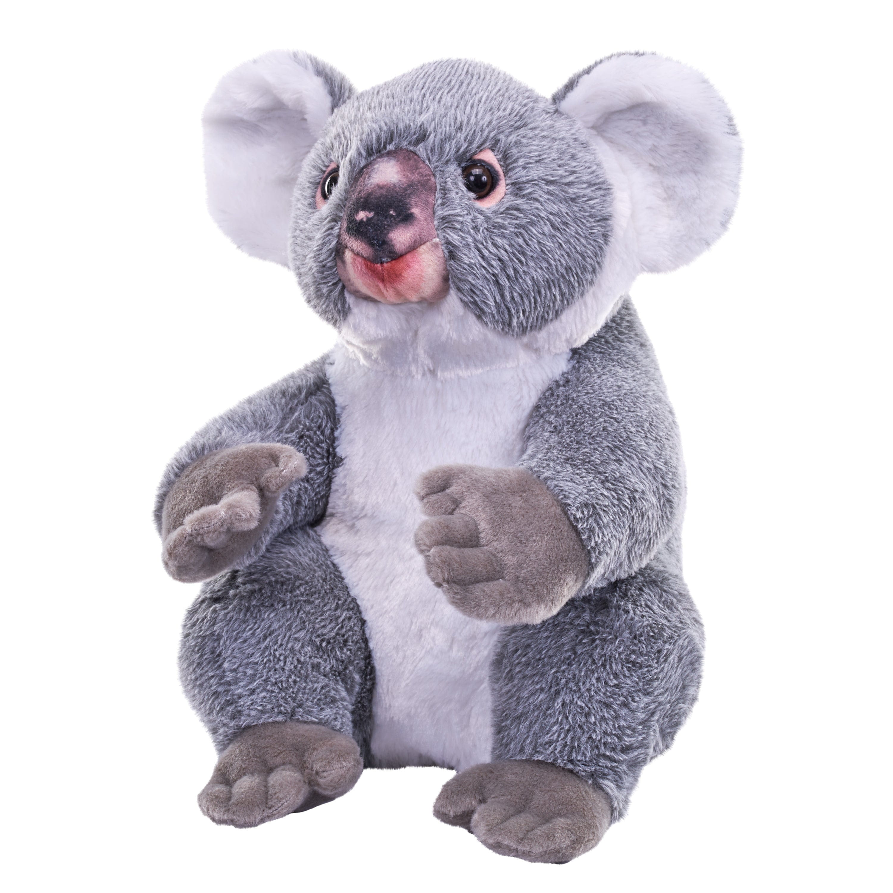 Wild Republic koala knuffel - pluche - 30 cm - Australisch dier