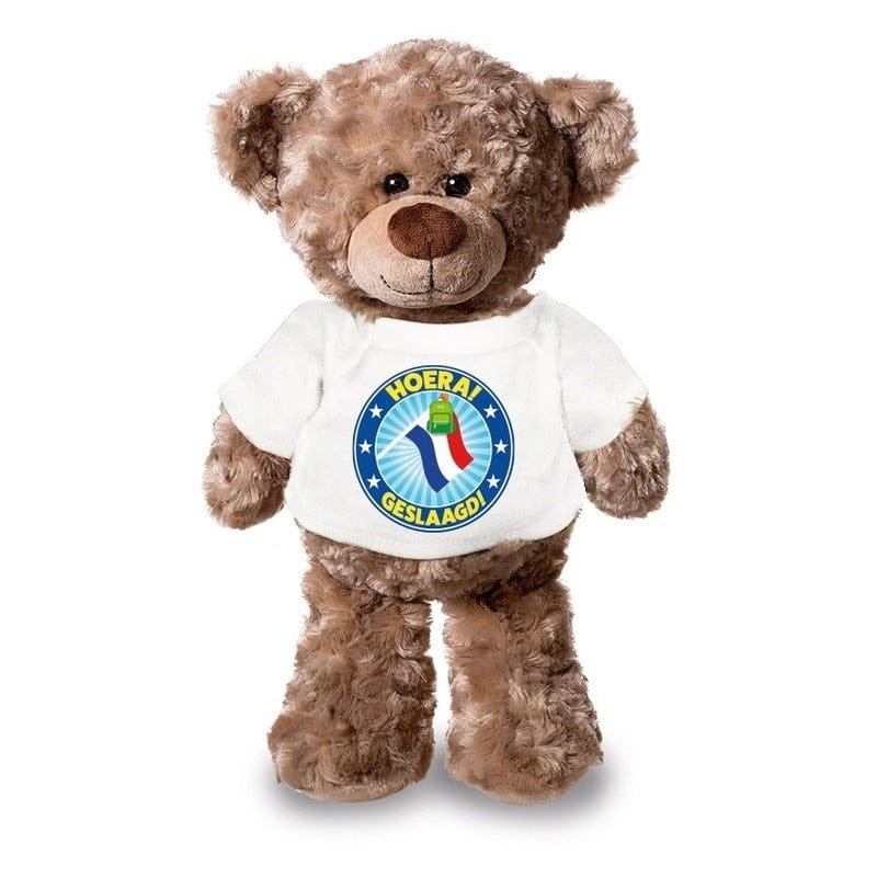 Pluche kolibrie knuffel - sleutelhanger - 12 cm - tashanger