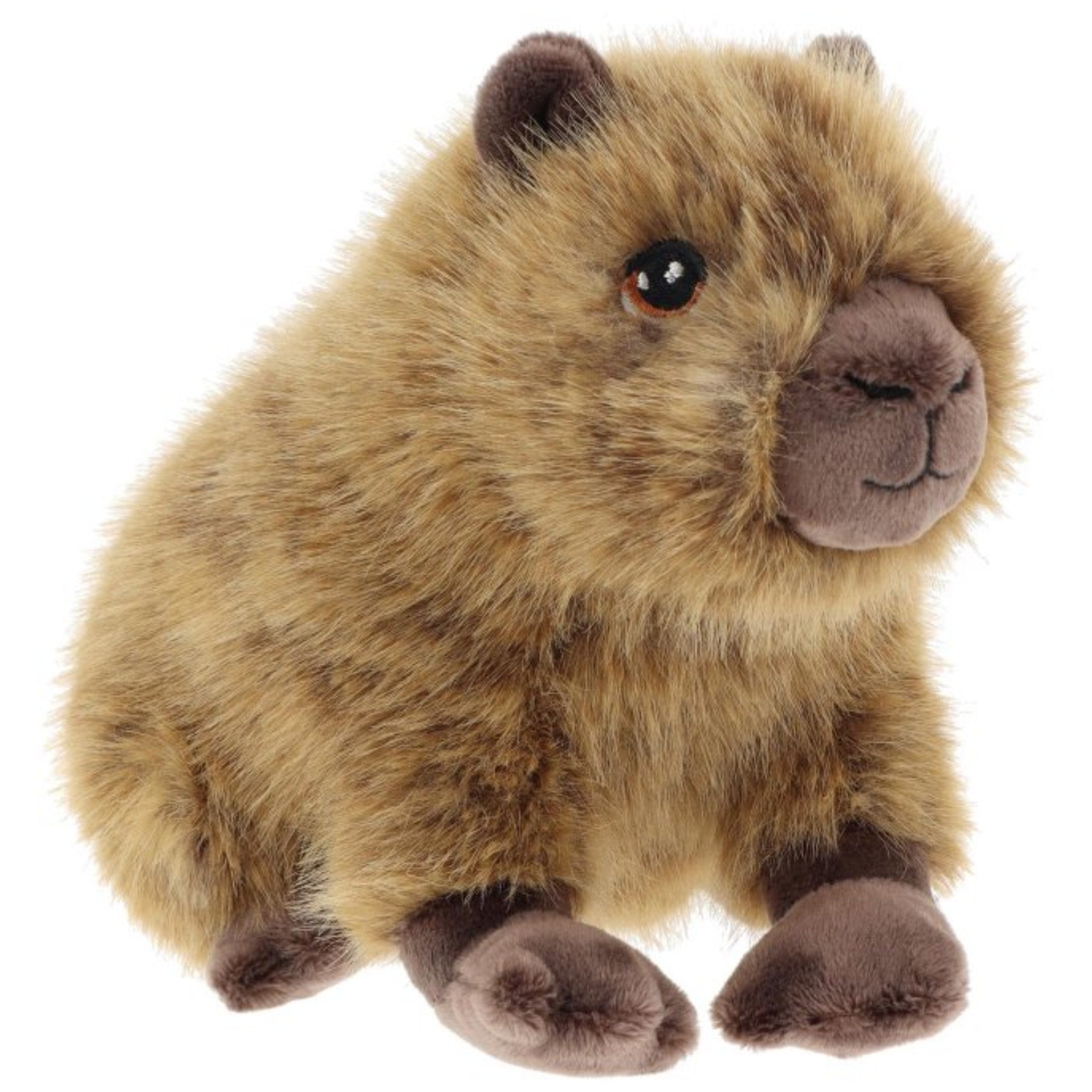 Keel Toys capybara knuffel - pluche - bruin - 25 cm