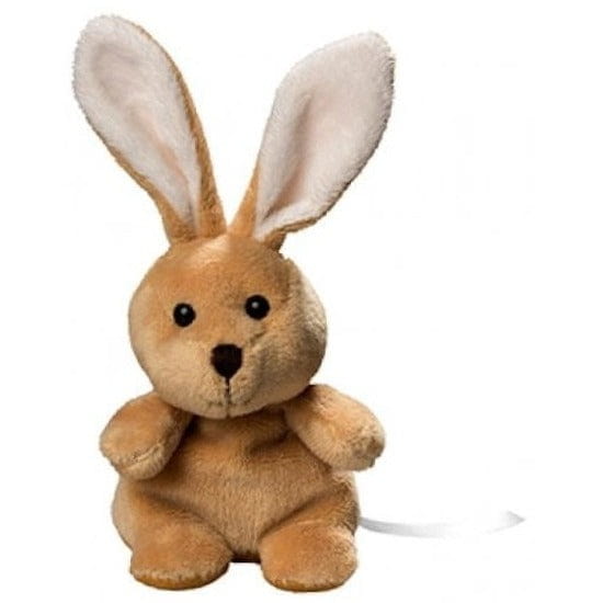 Pluche paashaas knuffel - 19 cm - met beschrijfbaar label