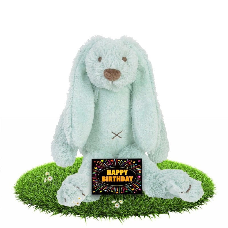 Verjaardag knuffel konijn Richie - pluche - mintgroen - 28 cm