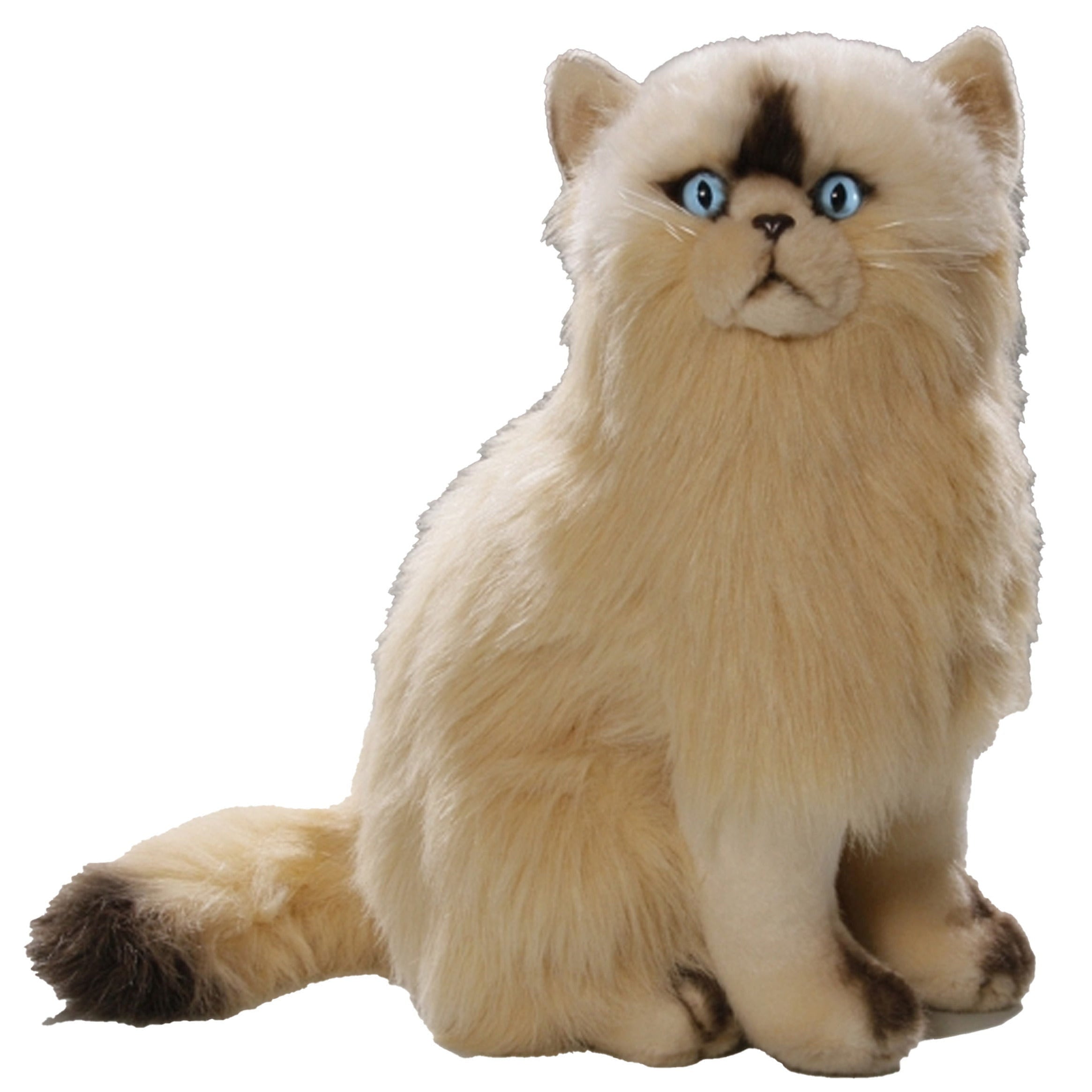 Carldick Perzische kat knuffel - pluche - 35 cm