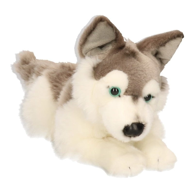 Carl Dick husky knuffel - pluche hond - liggend - 30 cm