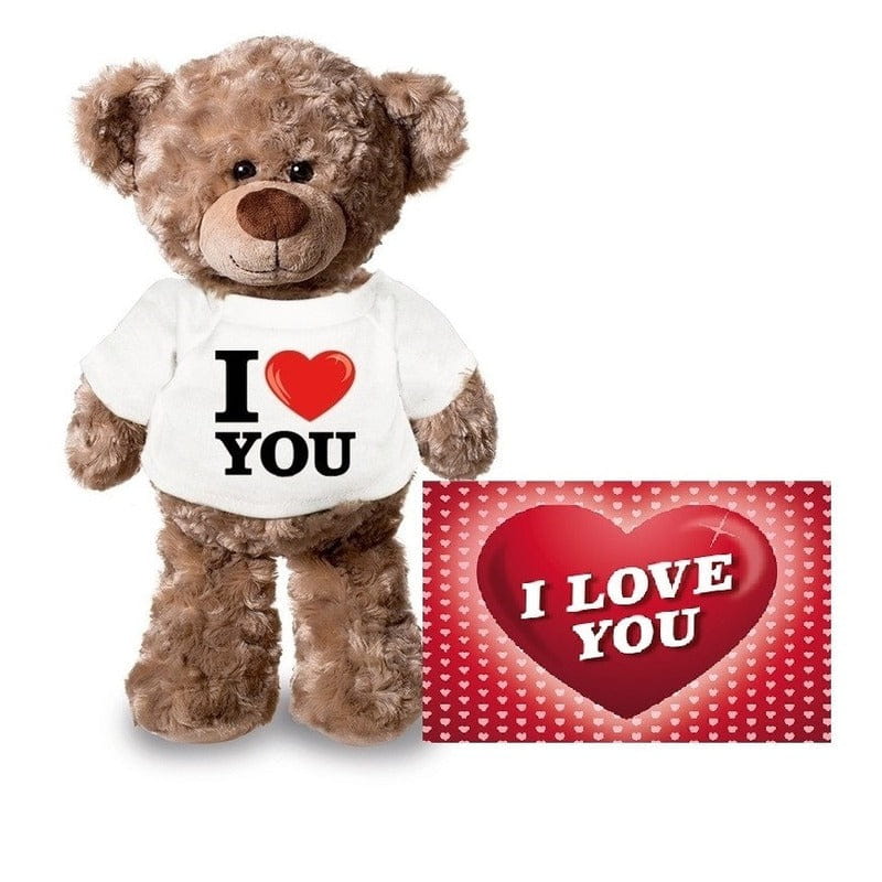 Teddybeer knuffel - pluche - 24 cm - met shirt - A5-kaart